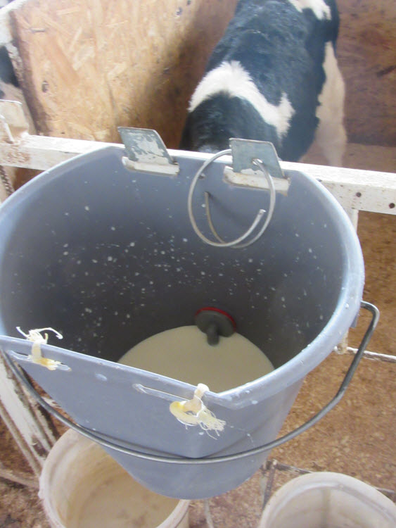 Фиксатор ведра (из 5 электрода)